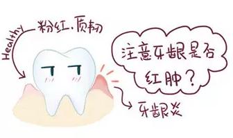 牙龈..jpg