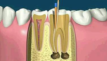 1545615802669838.jpg 1545615802669838.jpg