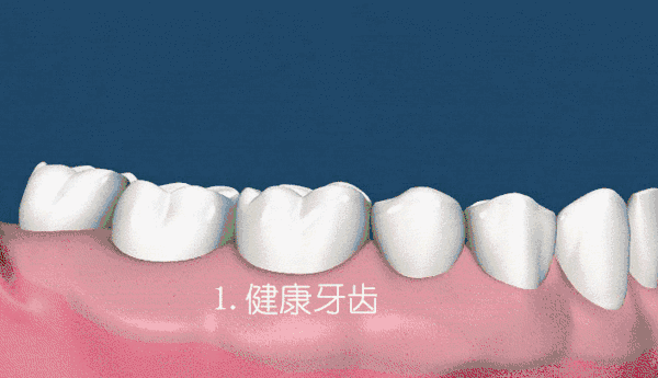 1550736773795788.gif
